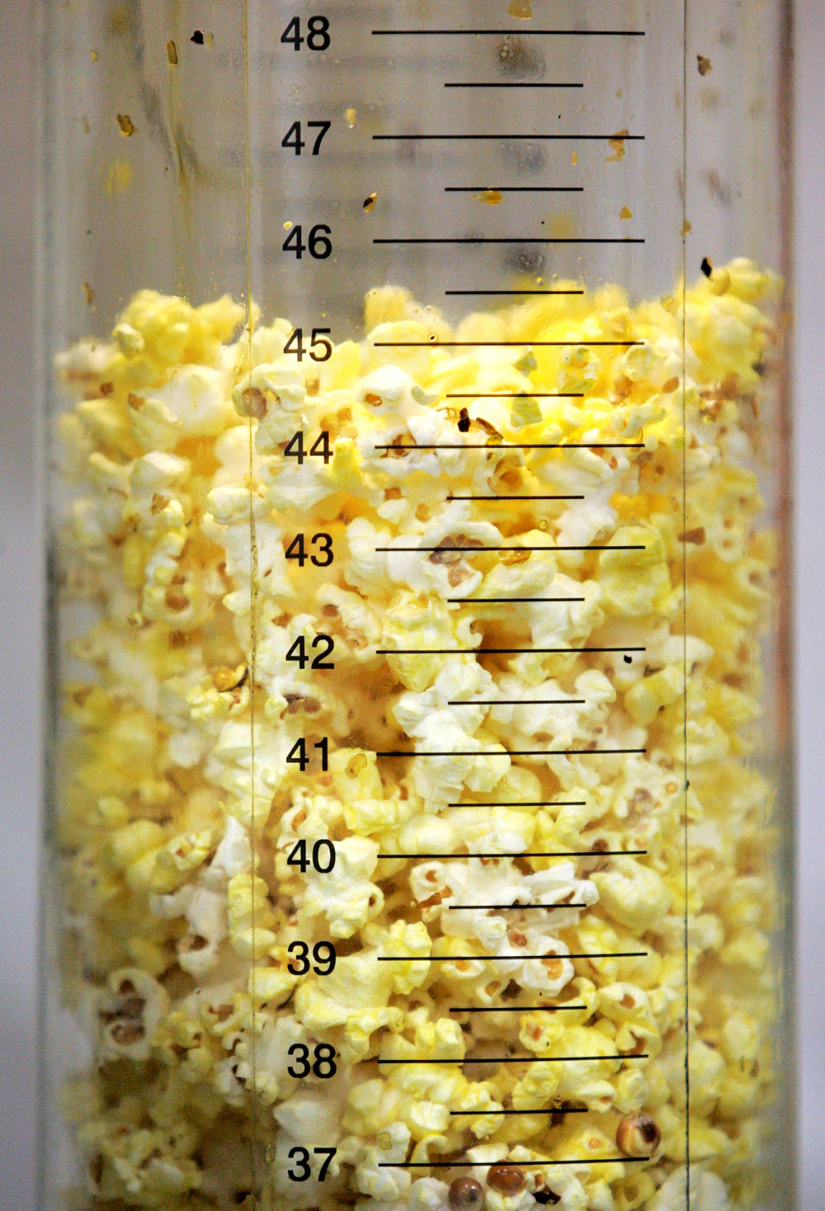 033113_popcorn002_bjs.JPG
